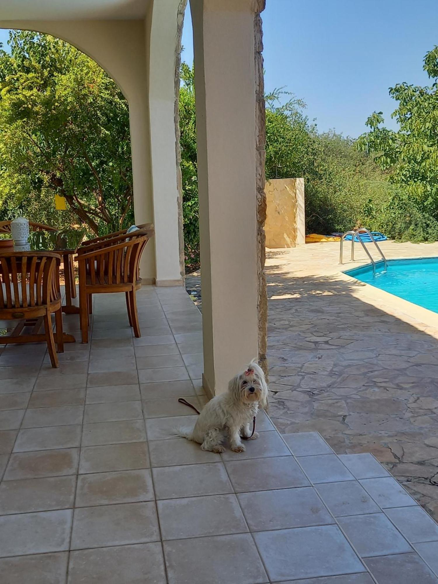 Villa Koumneni Pano Akourdalia ภายนอก รูปภาพ