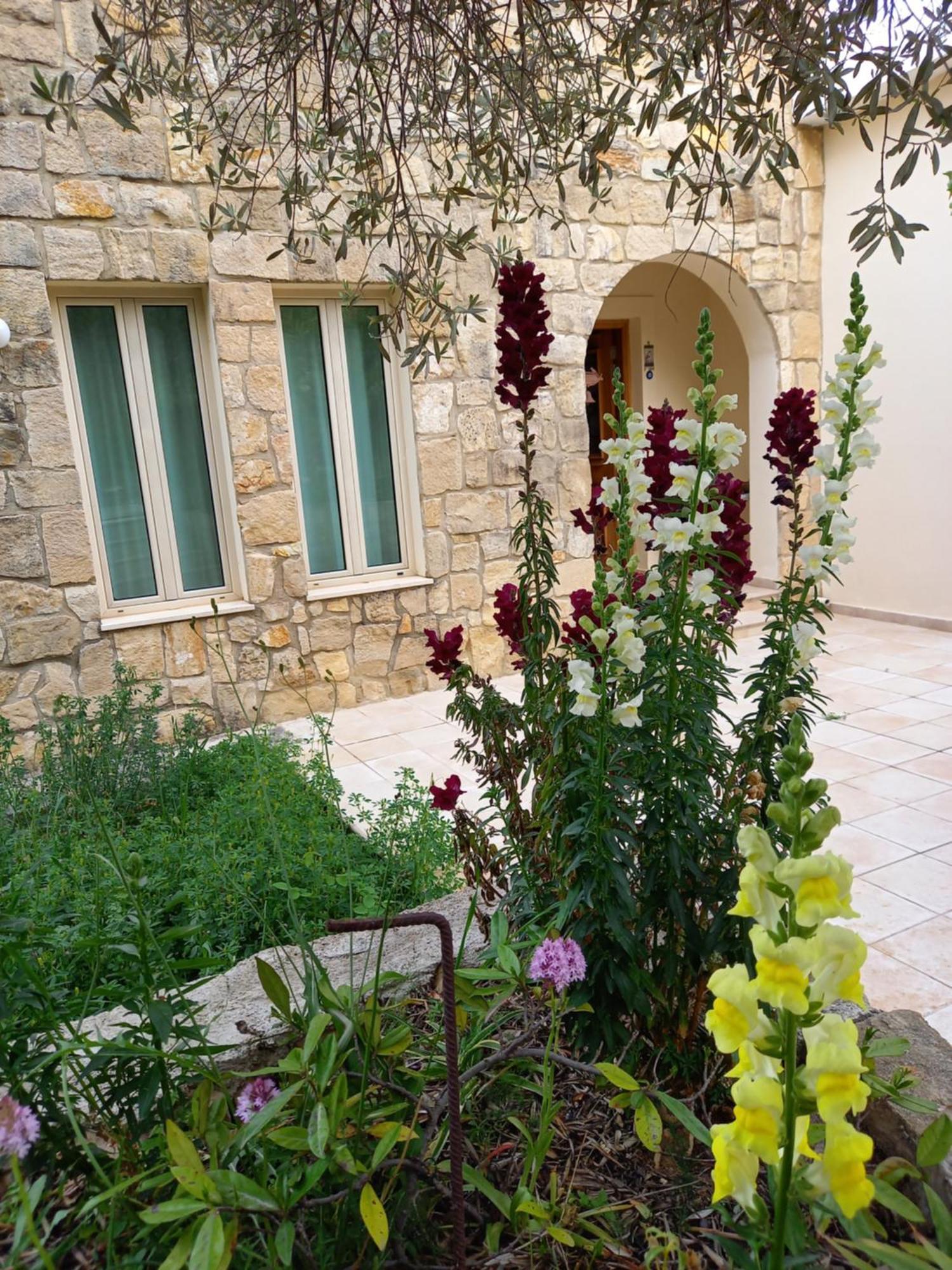 Villa Koumneni Pano Akourdalia ภายนอก รูปภาพ
