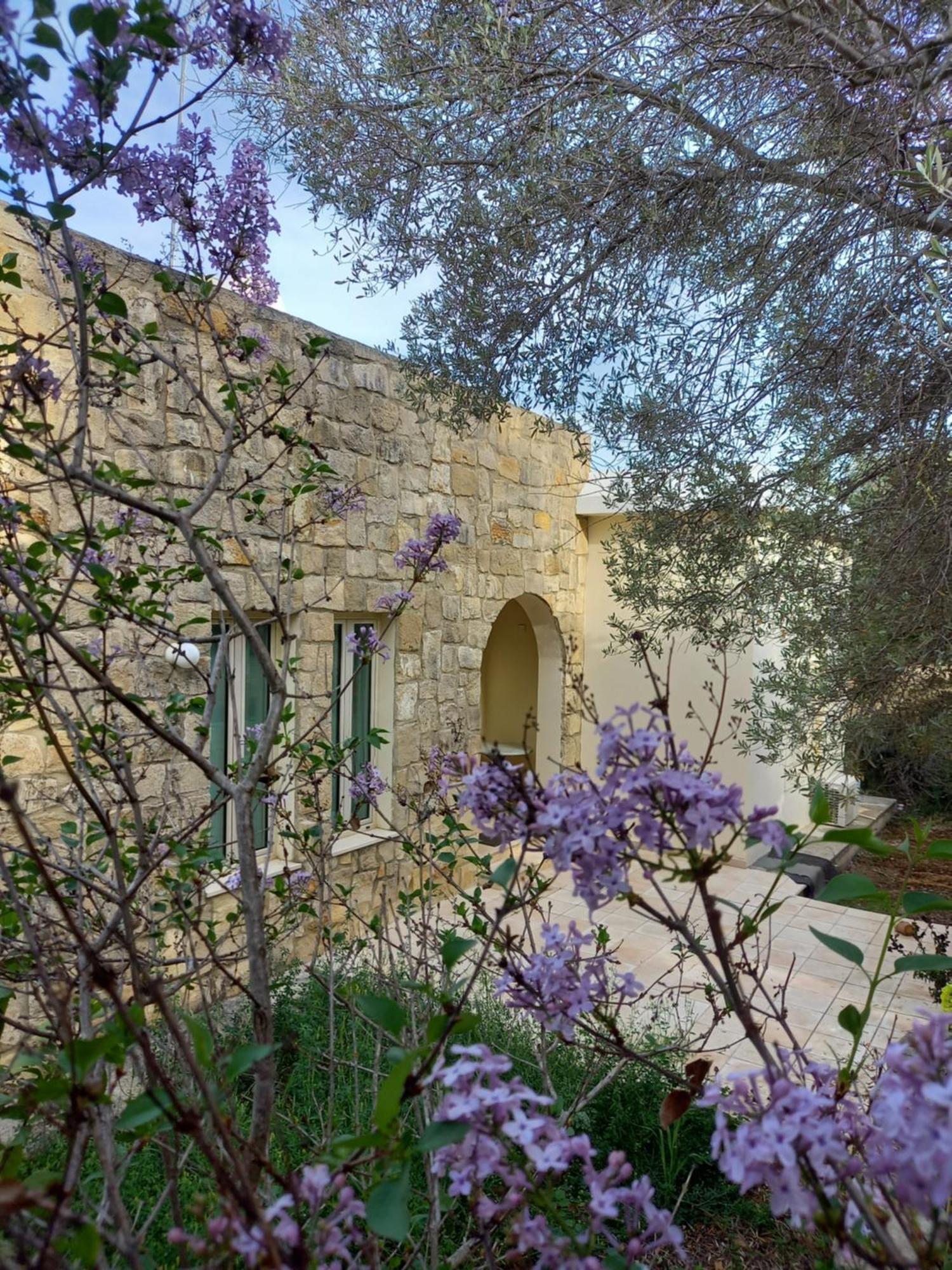 Villa Koumneni Pano Akourdalia ภายนอก รูปภาพ