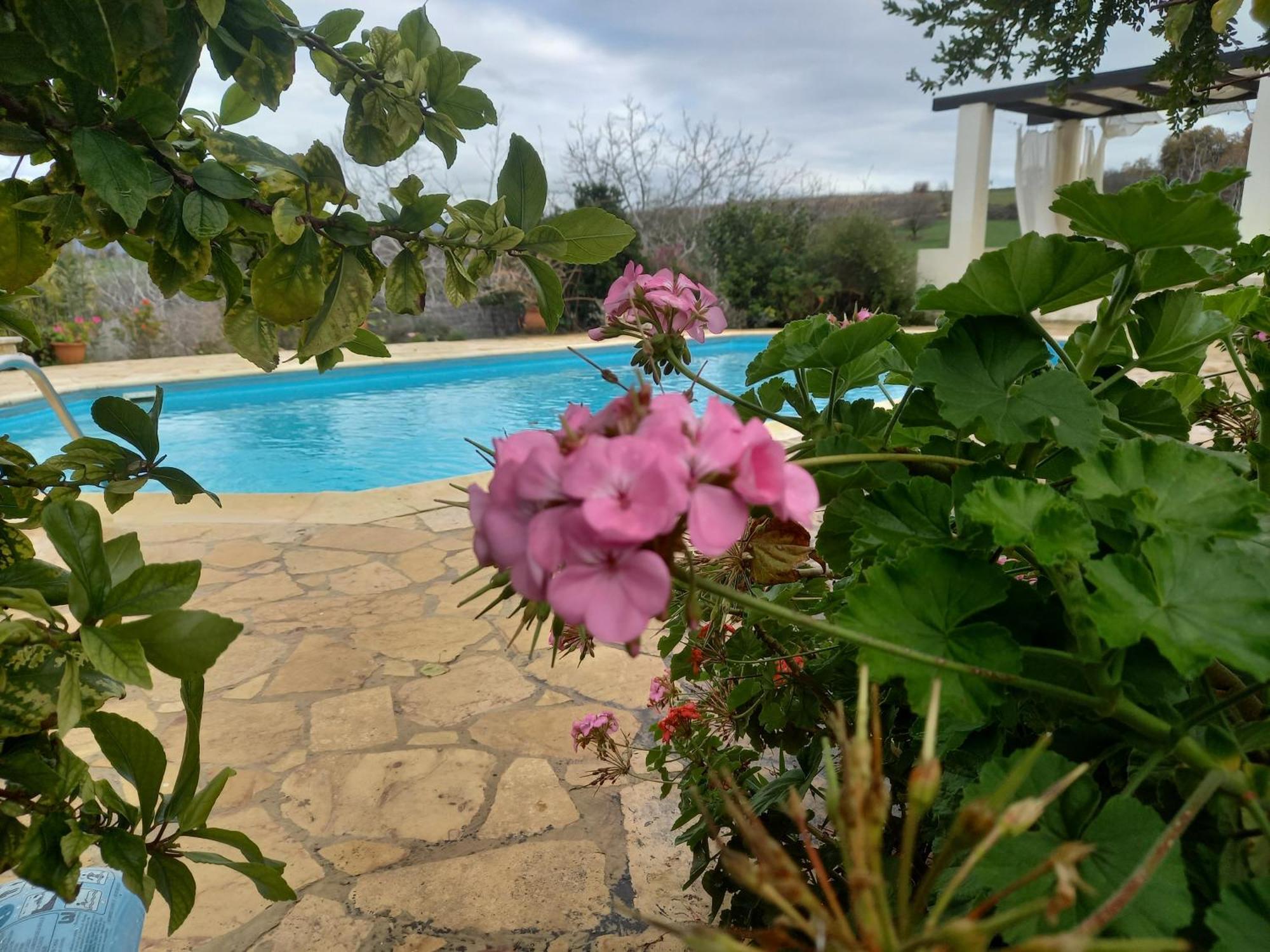Villa Koumneni Pano Akourdalia ภายนอก รูปภาพ